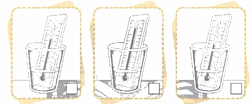 Vở bài tập Khoa học lớp 4 Chân trời sáng tạo Bài 12: Nhiệt độ và nhiệt kế