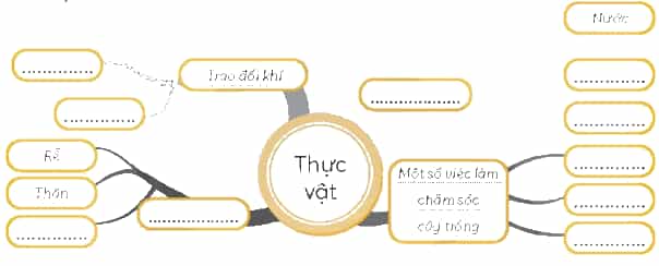 Vở bài tập Khoa học lớp 4 Chân trời sáng tạo Bài 18: Ôn tập chủ đề thực vật và động vật