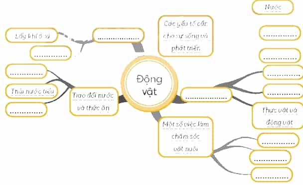 Vở bài tập Khoa học lớp 4 Chân trời sáng tạo Bài 18: Ôn tập chủ đề thực vật và động vật