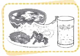 Vở bài tập Khoa học lớp 4 Chân trời sáng tạo Bài 23: Các nhóm chất dinh dưỡng có trong thức ăn