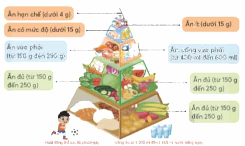 Vở bài tập Khoa học lớp 4 Chân trời sáng tạo Bài 25: Ăn uống khoa học để cơ thể khỏe mạnh