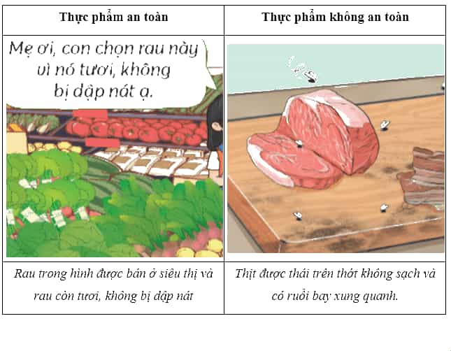 Vở bài tập Khoa học lớp 4 Chân trời sáng tạo Bài 26: Thực phẩm an toàn