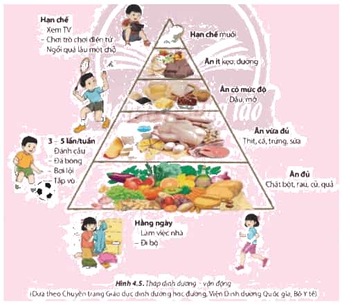 Vở bài tập Khoa học lớp 4 Chân trời sáng tạo Bài 29: ôn tập chủ đề con người và sức khỏe