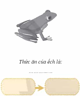 Vở bài tập Khoa học lớp 4 Chân trời sáng tạo Bài 30: Chuỗi thức ăn trong tự nhiên