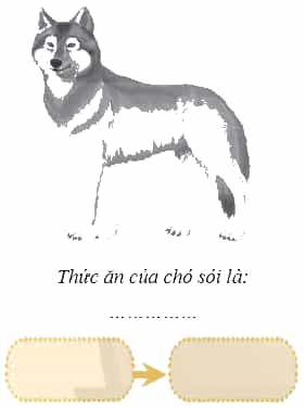 Vở bài tập Khoa học lớp 4 Chân trời sáng tạo Bài 30: Chuỗi thức ăn trong tự nhiên