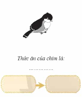 Vở bài tập Khoa học lớp 4 Chân trời sáng tạo Bài 30: Chuỗi thức ăn trong tự nhiên