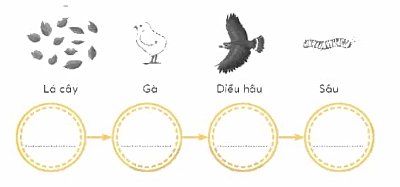 Vở bài tập Khoa học lớp 4 Chân trời sáng tạo Bài 30: Chuỗi thức ăn trong tự nhiên