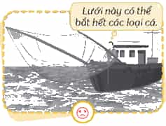 Vở bài tập Khoa học lớp 4 Chân trời sáng tạo Bài 31: Vai trò của thực vật trong chuỗi thức ăn
