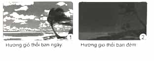 Vở bài tập Khoa học lớp 4 Cánh diều Bài 5: Sự chuyển động của không khí