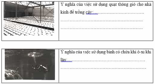 Vở bài tập Khoa học lớp 4 Cánh diều Bài 6: Vai trò của không khí và bảo vệ môi trường không khí 