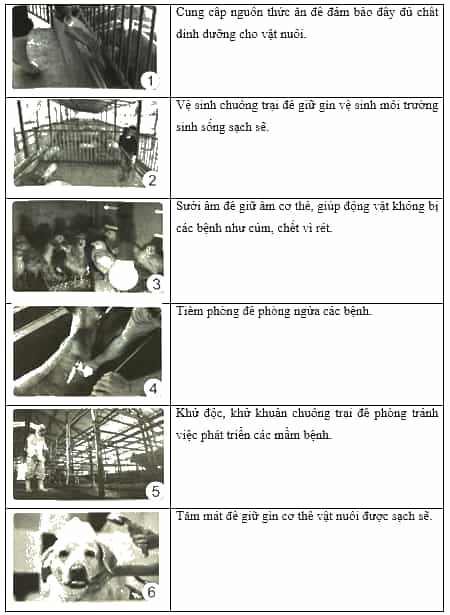 Vở bài tập Khoa học lớp 4 Cánh diều Bài 14: Nhu cầu sống của động vật và chăm sóc vật nuôi