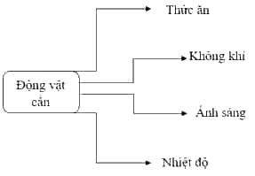 Vở bài tập Khoa học lớp 4 Cánh diều Ôn tập chủ đề Thực vật và động vật
