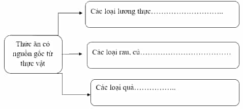 Vở bài tập Khoa học lớp 4 Cánh diều Bài 23: Vai trò của thực vật trong chuỗi thức ăn