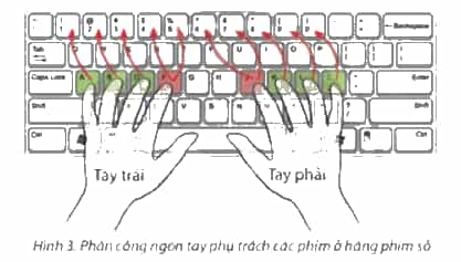 Tin học lớp 4 Chân trời sáng tạo Bài 2: Gõ bàn phím đúng cách