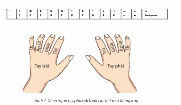 Tin học lớp 4 Chân trời sáng tạo Bài 2: Gõ bàn phím đúng cách