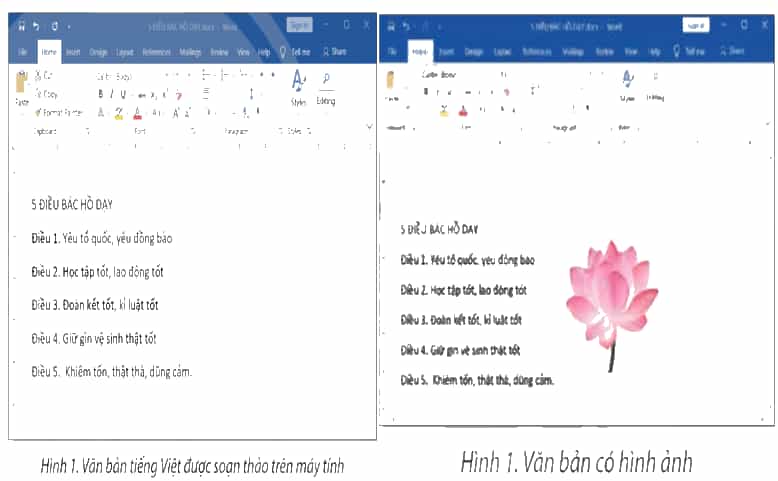 Tin học lớp 4 Chân trời sáng tạo Bài 8: Chèn hình ảnh, sao chép, di chuyển, xóa văn bản