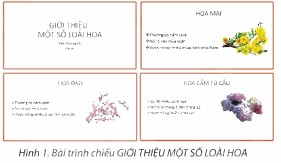 Tin học lớp 4 Chân trời sáng tạo Bài 9: Bài trình chiếu của em