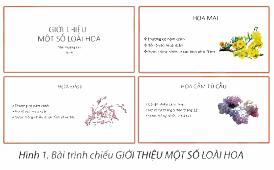 Tin học lớp 4 Chân trời sáng tạo Bài 9: Bài trình chiếu của em
