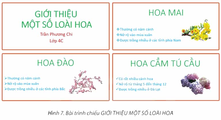 Tin học lớp 4 Chân trời sáng tạo Bài 10: Định dạng, tạo hiệu ứng cho trang chiếu