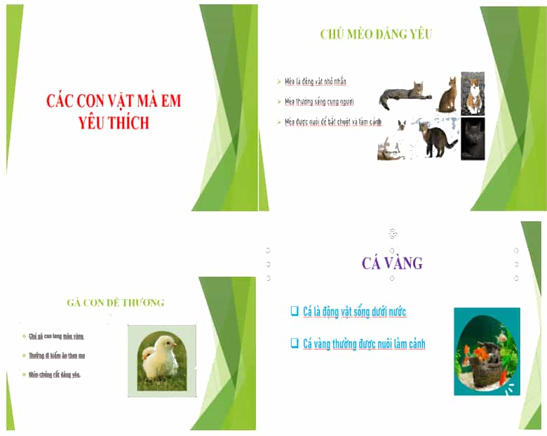 Tin học lớp 4 Chân trời sáng tạo Bài 10: Định dạng, tạo hiệu ứng cho trang chiếu