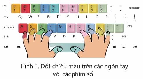 Tin học lớp 4 Cánh diều Bài 1: Em tập gõ hàng phím số