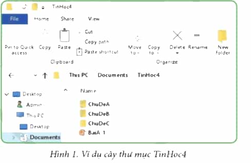 Tin học lớp 4 Cánh diều Bài 1: Tạo và xóa thư mục, đổi tên và xóa tệp