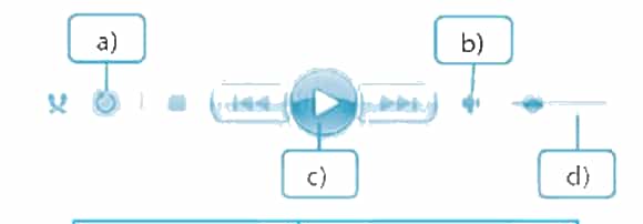 Vở bài tập Tin học lớp 4 Kết nối tri thức Bài 12A: Thực hành đa phương tiện