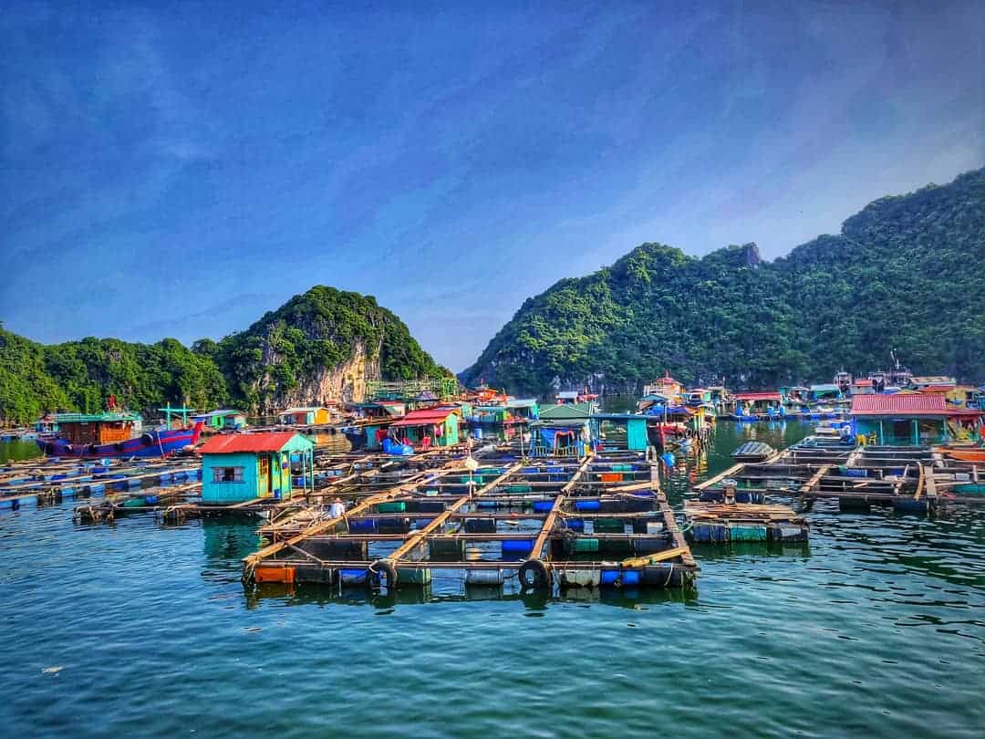 Làng chài Cửa Vạn - Ngôi làng nhỏ thanh bình giữa Vịnh Thiên Đường