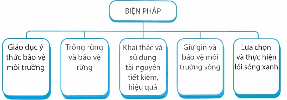 Vở bài tập Lịch Sử và Địa Lí lớp 5 Kết nối tri thức Bài 26: Xây dựng thế giới xanh - sạch - đẹp
