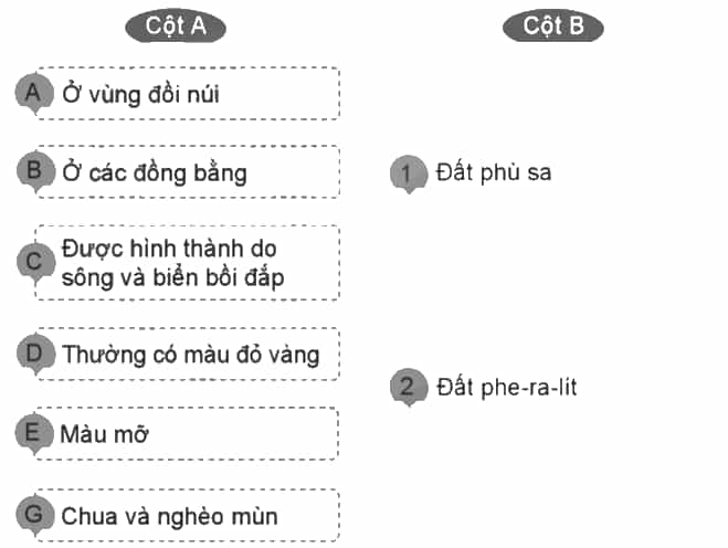 Vở bài tập Lịch Sử và Địa Lí lớp 5 Cánh diều Bài 2: Thiên nhiên Việt Nam
