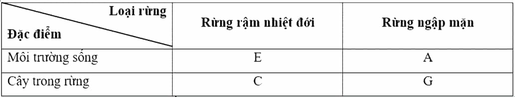 Vở bài tập Lịch Sử và Địa Lí lớp 5 Cánh diều Bài 2: Thiên nhiên Việt Nam