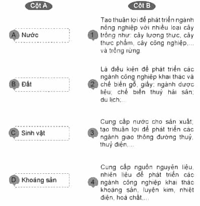 Vở bài tập Lịch Sử và Địa Lí lớp 5 Cánh diều Bài 2: Thiên nhiên Việt Nam
