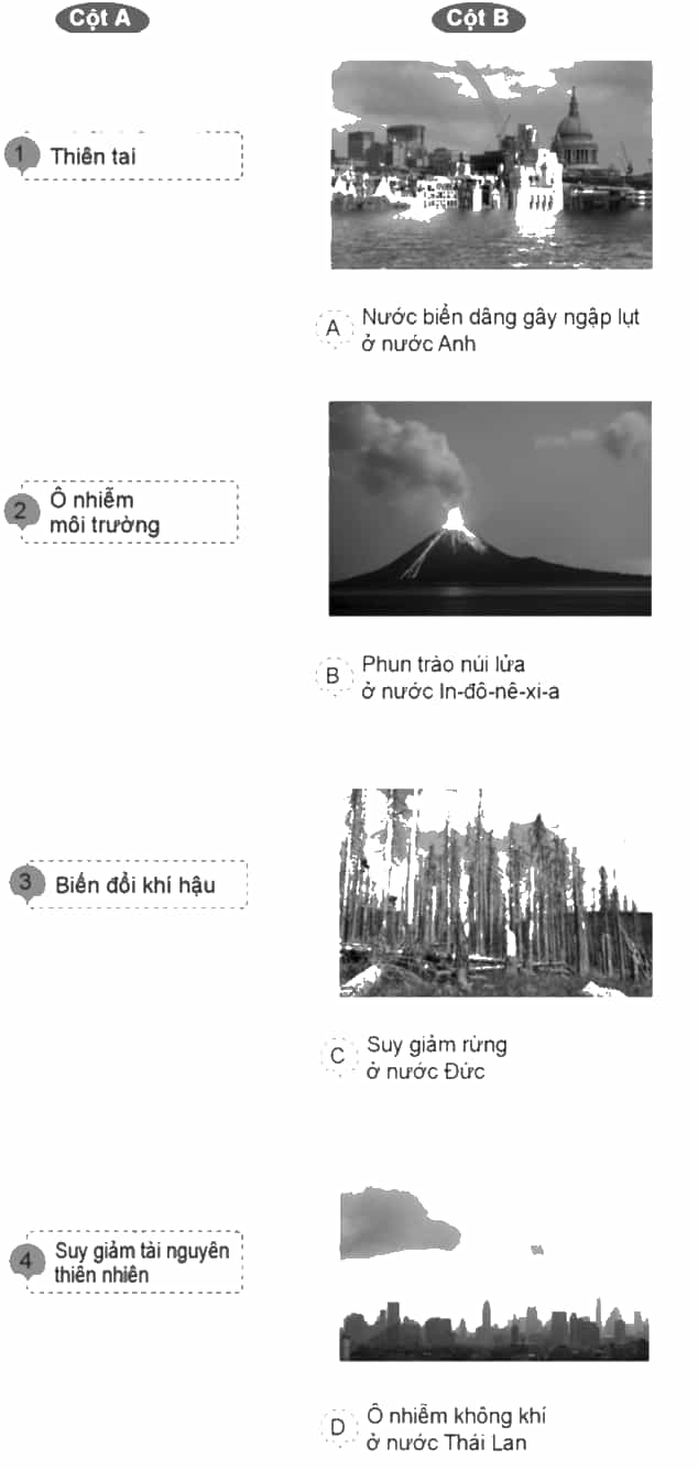 Vở bài tập Lịch Sử và Địa Lí lớp 5 Cánh diều Bài 23: Xây dựng thế giới xanh - sạch - đẹp