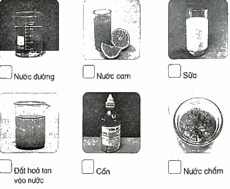 Vở bài tập Khoa học lớp 5 Kết nối tri thức Bài 3: Hỗn hợp và dung dịch