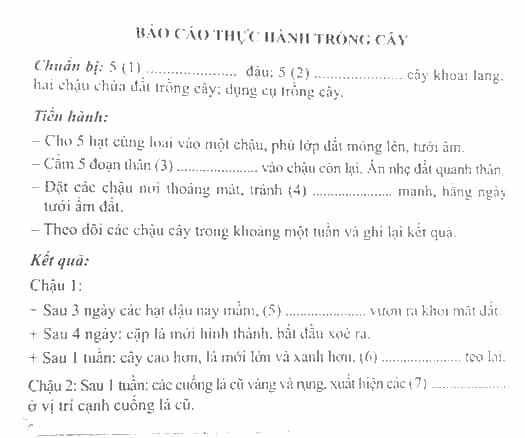 Vở bài tập Khoa học lớp 5 Kết nối tri thức Bài 14: Sự phát triển của cây con