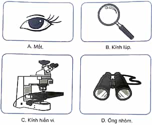 Vở bài tập Khoa học lớp 5 Kết nối tri thức Bài 18: Vi khuẩn xung quanh chúng ta