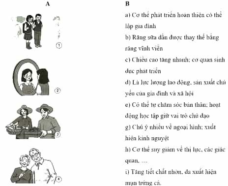 Vở bài tập Khoa học lớp 5 Kết nối tri thức Bài 27: Ôn tập chủ đề Con người và sức khoẻ