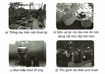 Vở bài tập Khoa học lớp 5 Kết nối tri thức Bài 29: Tác động của con người và một số biện pháp bảo vệ môi trường