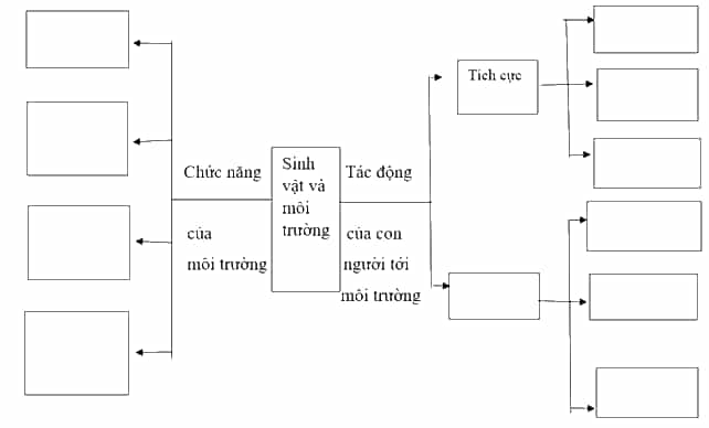 Vở bài tập Khoa học lớp 5 Kết nối tri thức Bài 30: Ôn tập chủ đề Sinh vật và môi trường