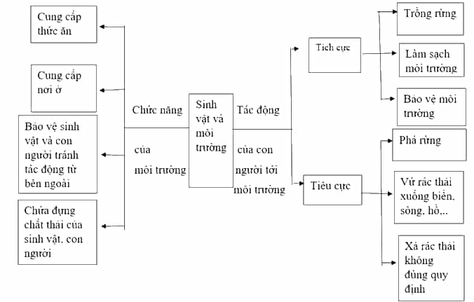 Vở bài tập Khoa học lớp 5 Kết nối tri thức Bài 30: Ôn tập chủ đề Sinh vật và môi trường
