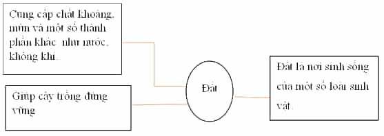 Vở bài tập Khoa học lớp 5 Chân trời sáng tạo Bài 1: Thành phần và vai trò của đất