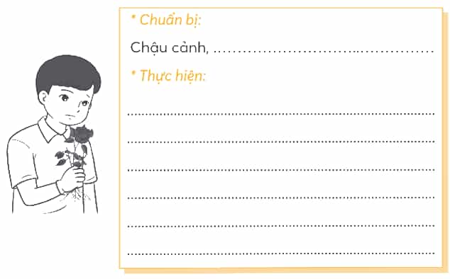 Vở bài tập Khoa học lớp 5 Chân trời sáng tạo Bài 1: Thành phần và vai trò của đất