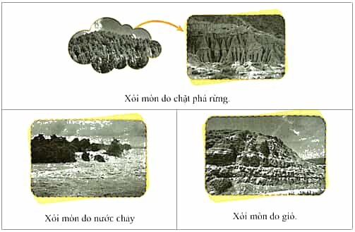 Vở bài tập Khoa học lớp 5 Chân trời sáng tạo Bài 2: Ô nhiễm, xói mòn đất và bảo vệ môi trường đất 