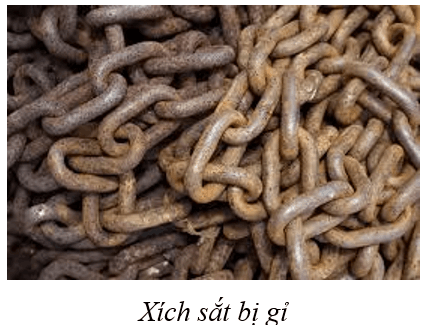 Vở bài tập Khoa học lớp 5 Chân trời sáng tạo Bài 4: Sự biến đổi của chất