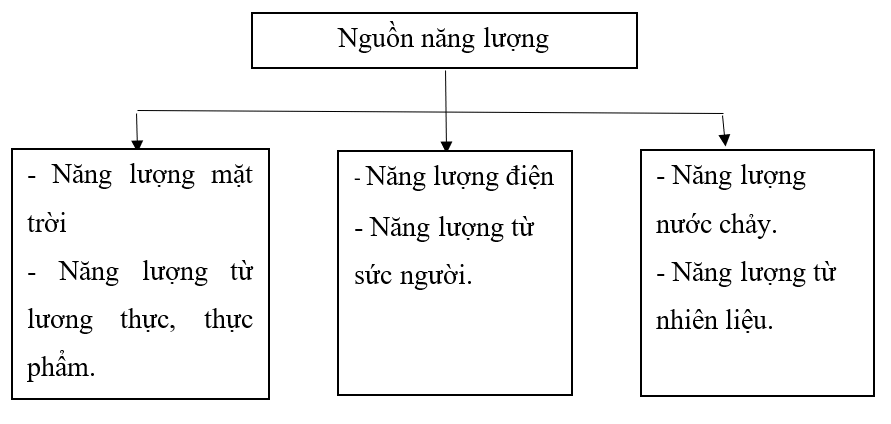 Vở bài tập Khoa học lớp 5 Chân trời sáng tạo Bài 6: Năng lượng và vai trò của năng lượng
