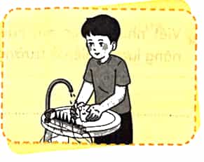 Vở bài tập Khoa học lớp 5 Chân trời sáng tạo Bài 9: Sử dụng năng lượng điện