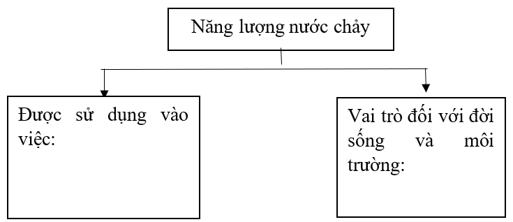 Vở bài tập Khoa học lớp 5 Chân trời sáng tạo Bài 11: Năng lượng mặt trời, gió và nước chảy