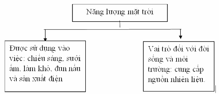 Vở bài tập Khoa học lớp 5 Chân trời sáng tạo Bài 11: Năng lượng mặt trời, gió và nước chảy