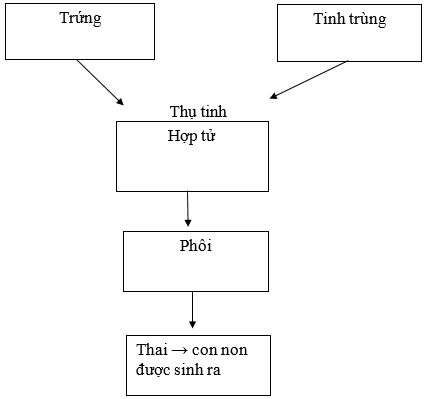 Vở bài tập Khoa học lớp 5 Chân trời sáng tạo Bài 15: Sự sinh sản của động vật