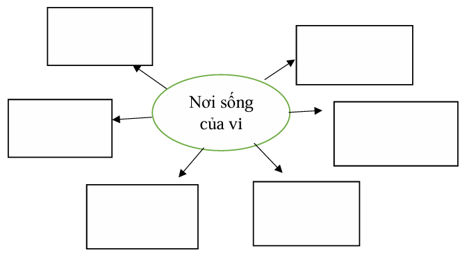 Vở bài tập Khoa học lớp 5 Chân trời sáng tạo Bài 18: Vi khuẩn quanh ta
